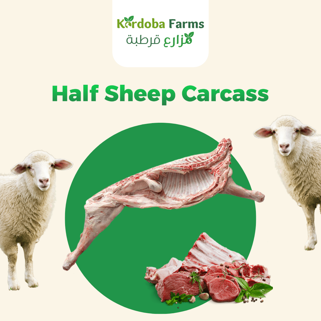 Half Fresh Lamb - Kordoba Farms