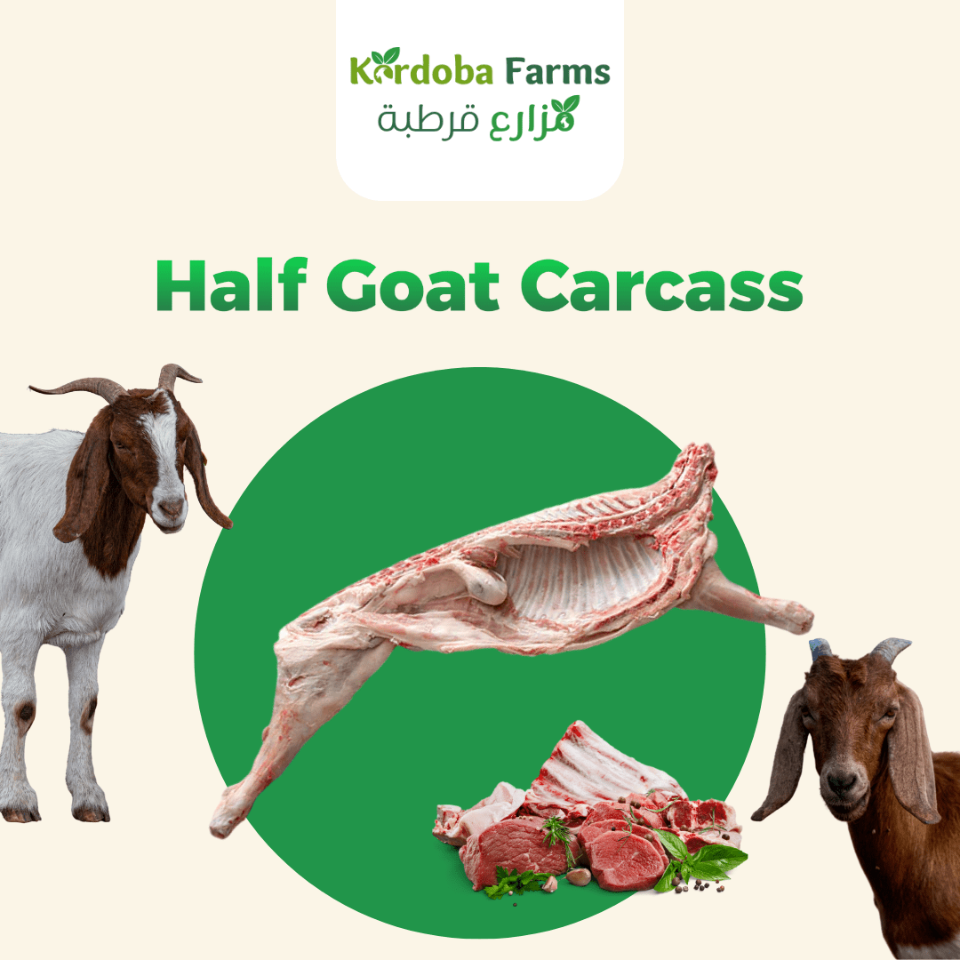 Half Fresh Meat Goat - Kordoba Farms