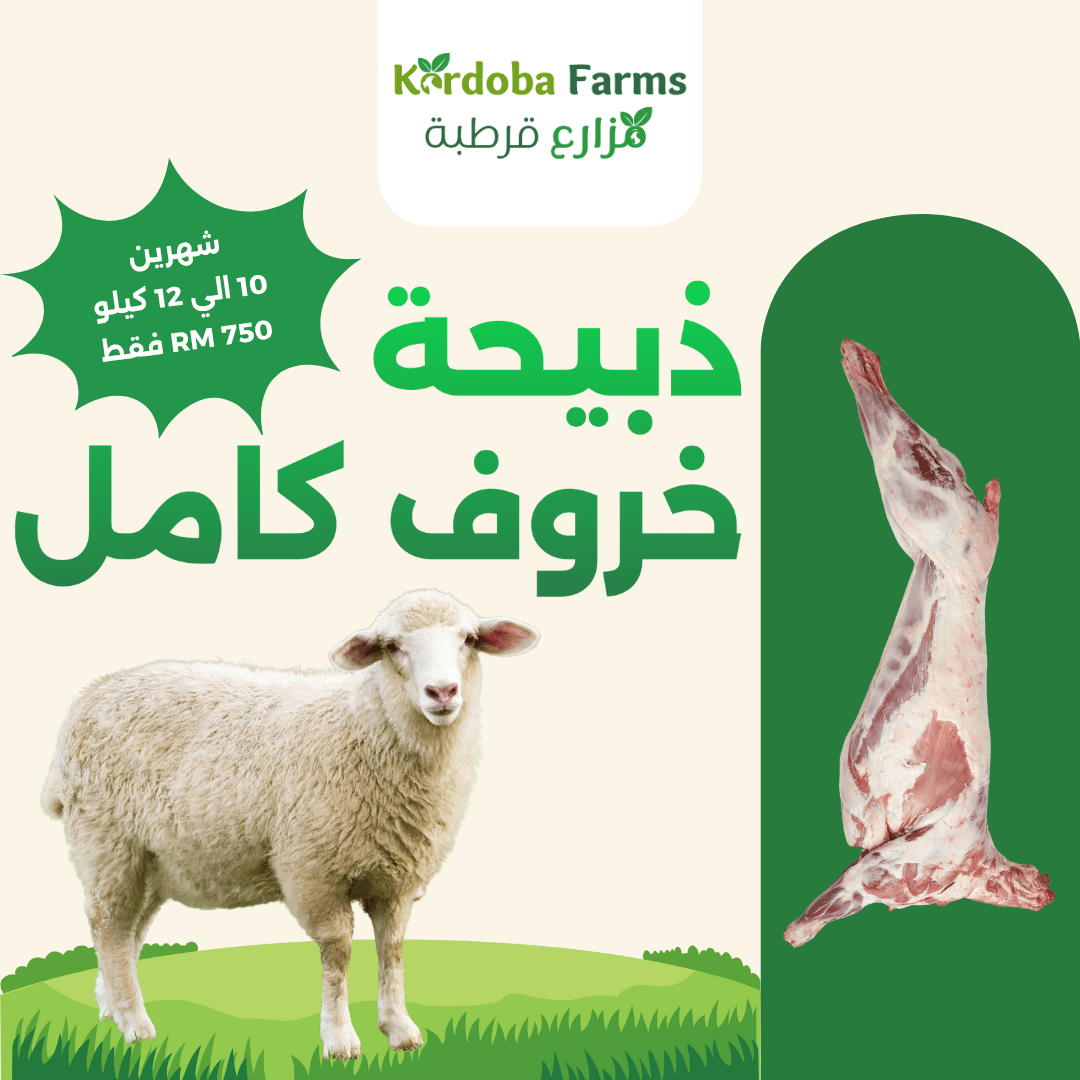 Whole Fresh Lamb - Kordoba Farms