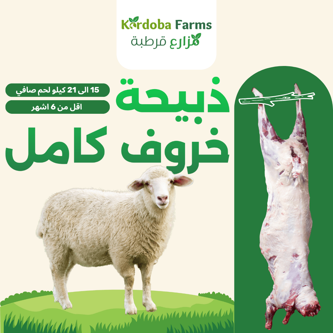 Whole Fresh Lamb - Kordoba Farms