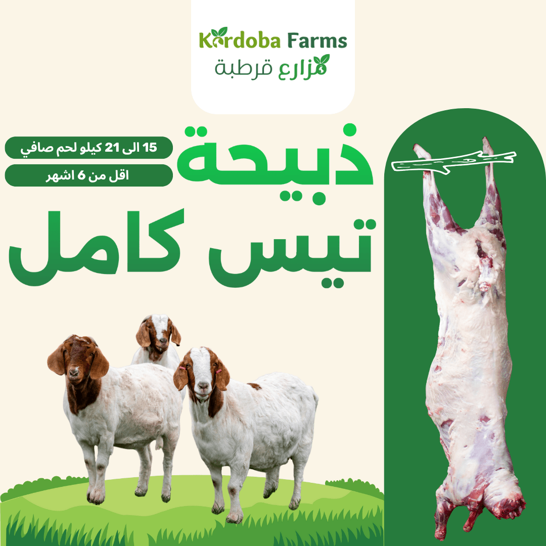 Whole Fresh Meat Goat - Kordoba Farms