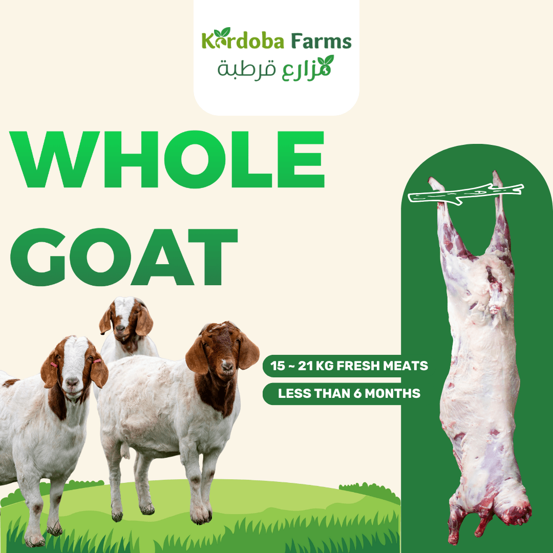 Whole Fresh Meat Goat - Kordoba Farms