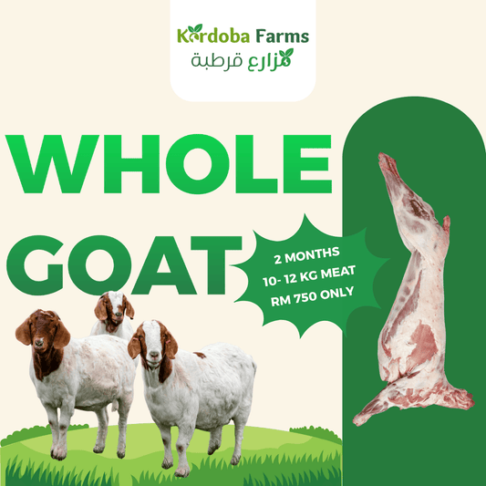 Whole Fresh Meat Goat - Kordoba Farms
